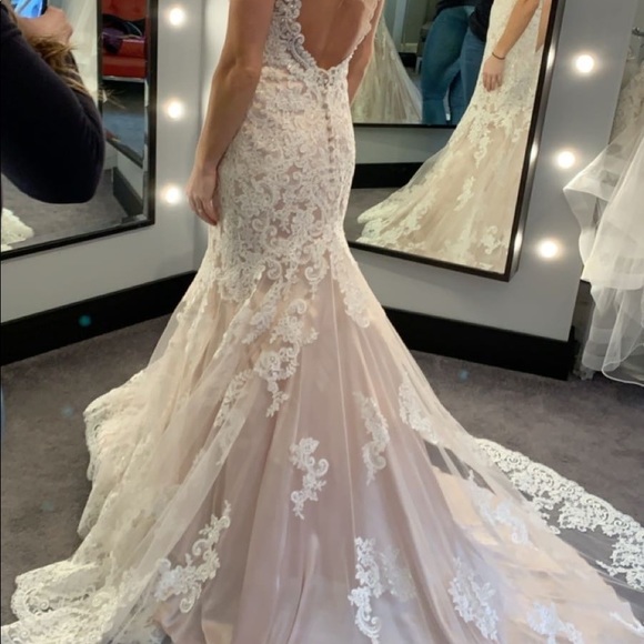 Beautiful wedding dress, champagne underneath with lace and sparkle overlay. - Picture 5 of 12